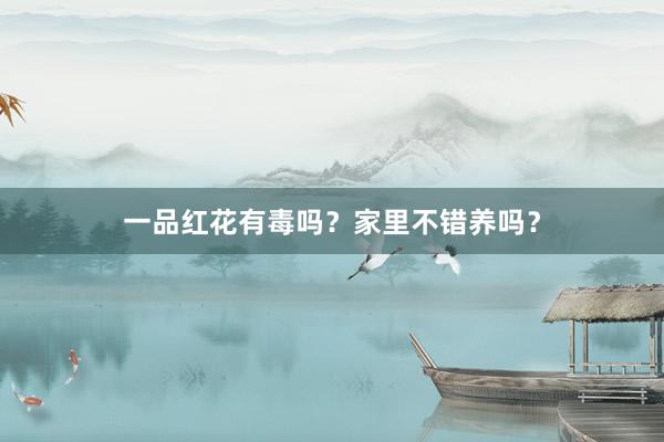 一品红花有毒吗？家里不错养吗？